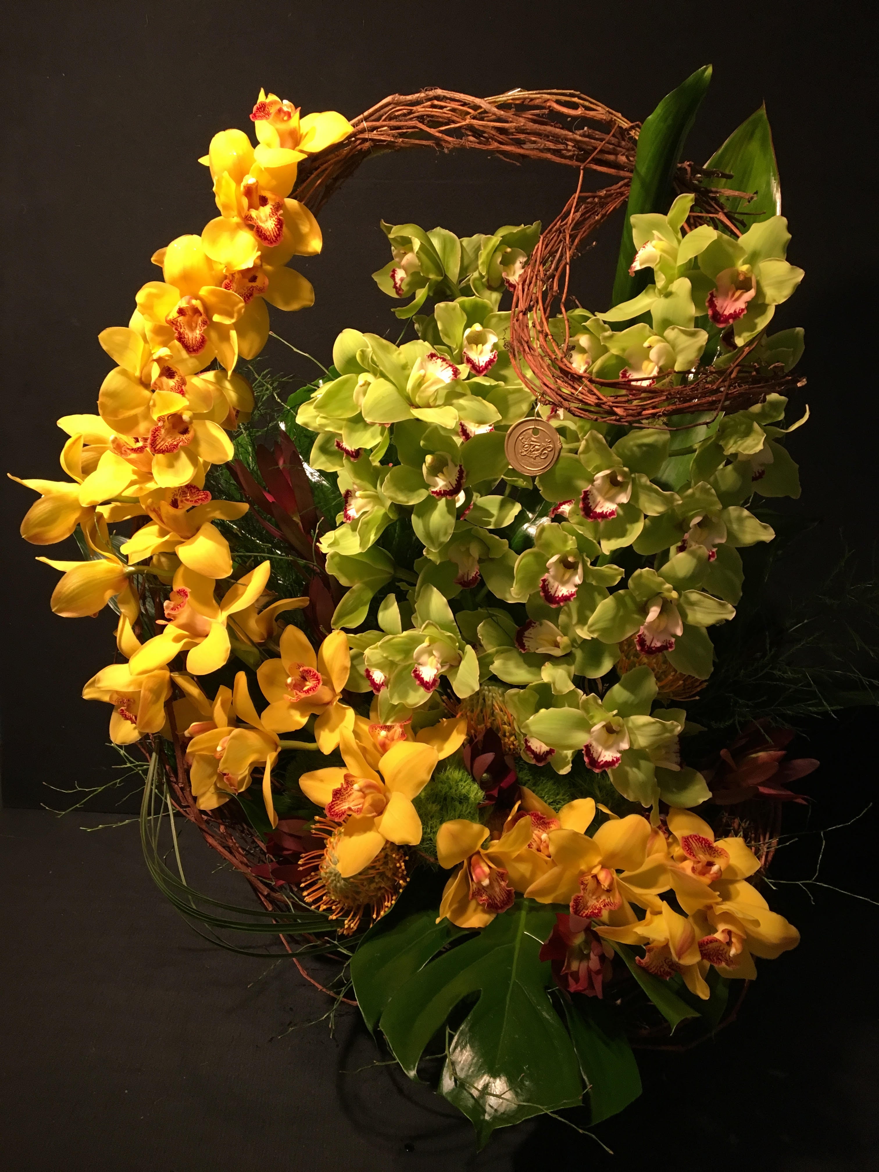 Play With Orchids